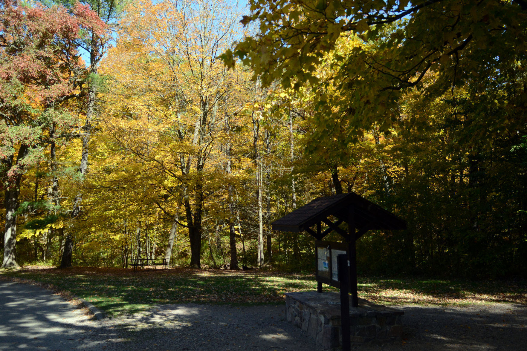 Baraboo area fall color, Oct. 8, 2020